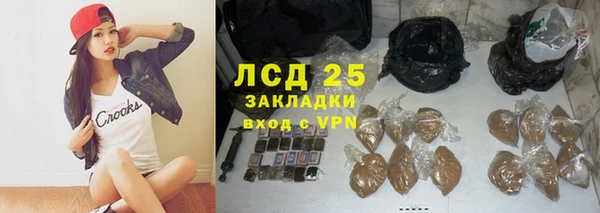 сатива Алзамай