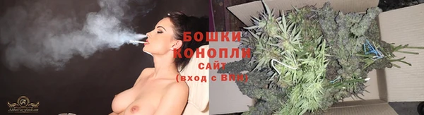 сатива Алзамай