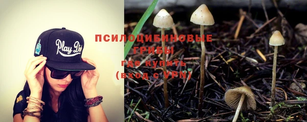 apvp Осинники