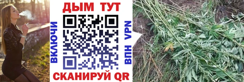 Бошки марихуана Bruce Banner  наркотики  Белебей 